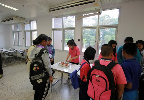 ภาพกิจกรรม คณะวิทยาศาสตร์และเทคโนโลยี จัดค่ายวิทยาศาสตร์ตามโครงการพัฒนาศักยภาพผู้เรียนในระดับการศึกษาขั้นพื้นฐาน ระยะที่ 2 ประจำปีงบประมาณ 2562