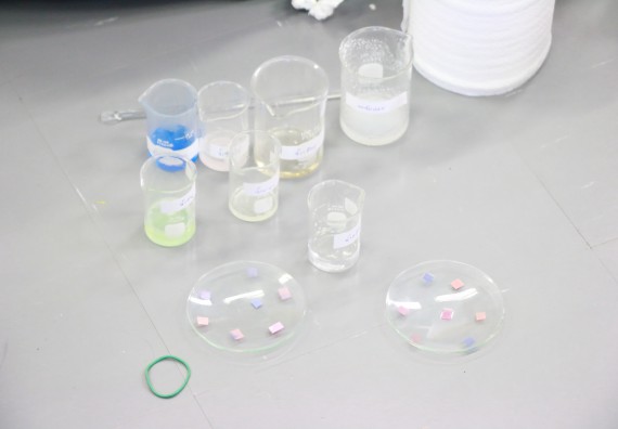 ภาพกิจกรรม คณะวิทยาศาสตร์และเทคโนโลยี จัดค่ายวิทยาศาสตร์ตามโครงการพัฒนาศักยภาพผู้เรียนในระดับการศึกษาขั้นพื้นฐาน ระยะที่ 2 ประจำปีงบประมาณ 2562