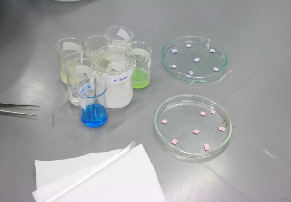 ภาพกิจกรรม คณะวิทยาศาสตร์และเทคโนโลยี จัดค่ายวิทยาศาสตร์ตามโครงการพัฒนาศักยภาพผู้เรียนในระดับการศึกษาขั้นพื้นฐาน ระยะที่ 2 ประจำปีงบประมาณ 2562