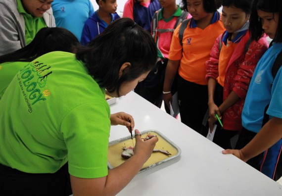 ภาพกิจกรรม คณะวิทยาศาสตร์และเทคโนโลยี จัดค่ายวิทยาศาสตร์ตามโครงการพัฒนาศักยภาพผู้เรียนในระดับการศึกษาขั้นพื้นฐาน ระยะที่ 2 ประจำปีงบประมาณ 2562