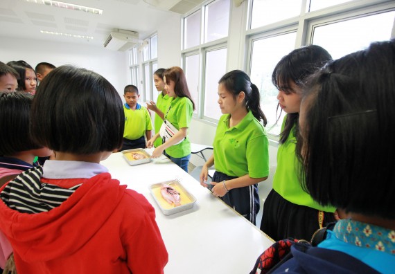 ภาพกิจกรรม คณะวิทยาศาสตร์และเทคโนโลยี จัดค่ายวิทยาศาสตร์ตามโครงการพัฒนาศักยภาพผู้เรียนในระดับการศึกษาขั้นพื้นฐาน ระยะที่ 2 ประจำปีงบประมาณ 2562