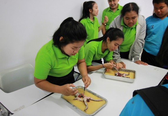 ภาพกิจกรรม คณะวิทยาศาสตร์และเทคโนโลยี จัดค่ายวิทยาศาสตร์ตามโครงการพัฒนาศักยภาพผู้เรียนในระดับการศึกษาขั้นพื้นฐาน ระยะที่ 2 ประจำปีงบประมาณ 2562