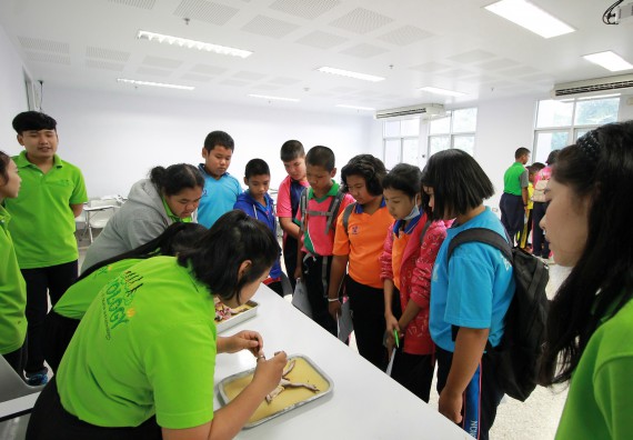 ภาพกิจกรรม คณะวิทยาศาสตร์และเทคโนโลยี จัดค่ายวิทยาศาสตร์ตามโครงการพัฒนาศักยภาพผู้เรียนในระดับการศึกษาขั้นพื้นฐาน ระยะที่ 2 ประจำปีงบประมาณ 2562