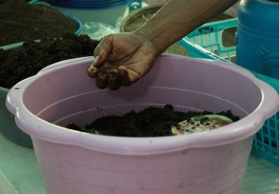 ภาพกิจกรรม คณะวิทยาศาสตร์และเทคโนโลยี จัดอบรมสร้างความรู้ความเข้าใจแนวทางการแก้ไขปัญหาโดยยึดแนวทางตามปรัชญาเศรษฐกิจพอเพียงและใช้ทรัพยากรอย่างยั่งยืน