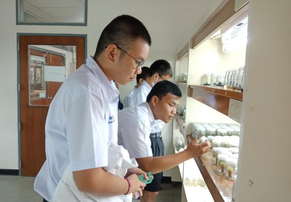 โปรแกรมวิชาชีววิทยา จัดค่ายเทคนิคปลอดเชื้อและเพาะเลี้ยงเนื้อเยื่อพืช