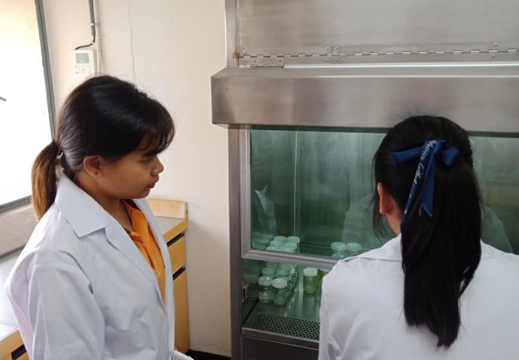 โปรแกรมวิชาชีววิทยา จัดค่ายเทคนิคปลอดเชื้อและเพาะเลี้ยงเนื้อเยื่อพืช