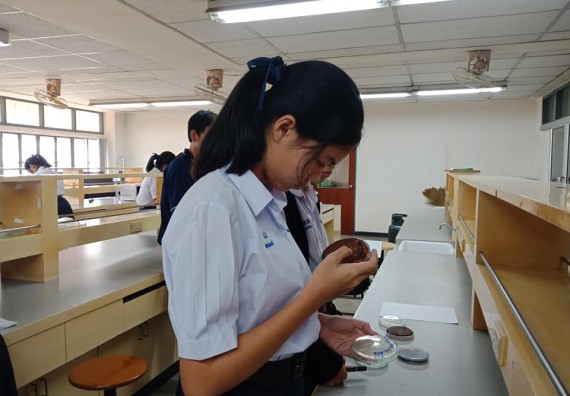 โปรแกรมวิชาชีววิทยา จัดค่ายเทคนิคปลอดเชื้อและเพาะเลี้ยงเนื้อเยื่อพืช