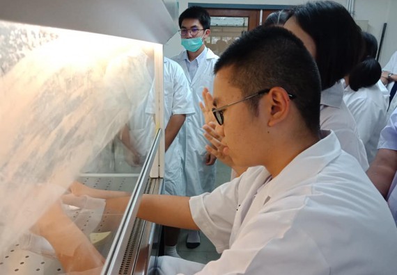 โปรแกรมวิชาชีววิทยา จัดค่ายเทคนิคปลอดเชื้อและเพาะเลี้ยงเนื้อเยื่อพืช