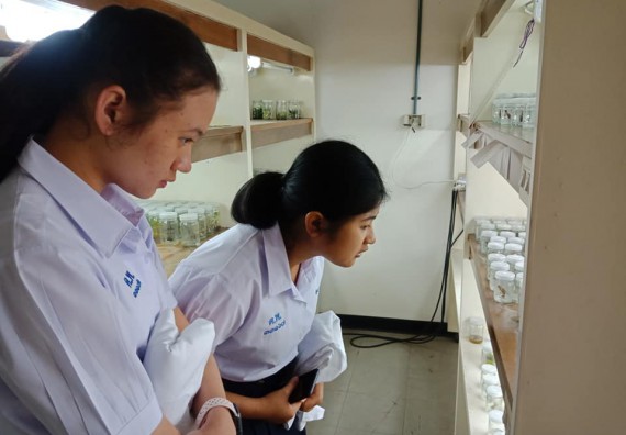 โปรแกรมวิชาชีววิทยา จัดค่ายเทคนิคปลอดเชื้อและเพาะเลี้ยงเนื้อเยื่อพืช