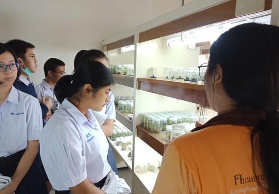 โปรแกรมวิชาชีววิทยา จัดค่ายเทคนิคปลอดเชื้อและเพาะเลี้ยงเนื้อเยื่อพืช