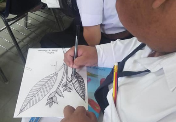 ภาพกิจกรรม โปรแกรมวิชาชีววิทยา	จัดกิจกรรมการอบรมวาดภาพทางวิทยาศาสตร์