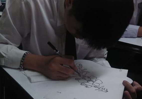 ภาพกิจกรรม โปรแกรมวิชาชีววิทยา	จัดกิจกรรมการอบรมวาดภาพทางวิทยาศาสตร์