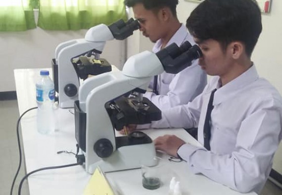 ภาพกิจกรรม โปรแกรมวิชาชีววิทยา	จัดกิจกรรมการอบรมวาดภาพทางวิทยาศาสตร์