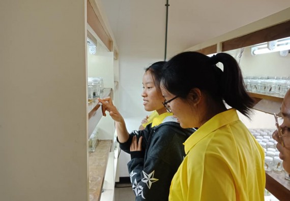 ภาพกิจกรรม โปรแกรมวิชาชีววิทยา	จัดการอบรมเชิงปฏิบัติการการเพาะเลี้ยงเนื้อเยื่อกล้วยไข่