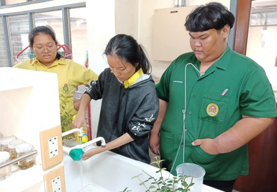 ภาพกิจกรรม โปรแกรมวิชาชีววิทยา	จัดการอบรมเชิงปฏิบัติการการเพาะเลี้ยงเนื้อเยื่อกล้วยไข่