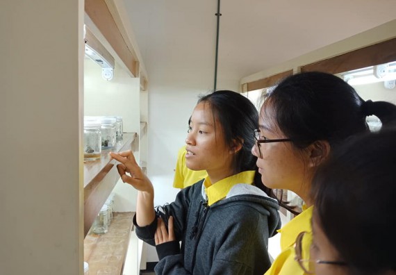 ภาพกิจกรรม โปรแกรมวิชาชีววิทยา	จัดการอบรมเชิงปฏิบัติการการเพาะเลี้ยงเนื้อเยื่อกล้วยไข่