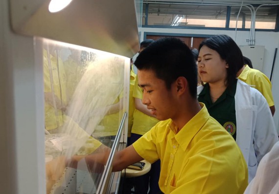 ภาพกิจกรรม โปรแกรมวิชาชีววิทยา	จัดการอบรมเชิงปฏิบัติการการเพาะเลี้ยงเนื้อเยื่อกล้วยไข่