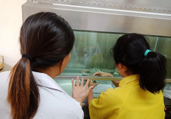 ภาพกิจกรรม โปรแกรมวิชาชีววิทยา	จัดการอบรมเชิงปฏิบัติการการเพาะเลี้ยงเนื้อเยื่อกล้วยไข่