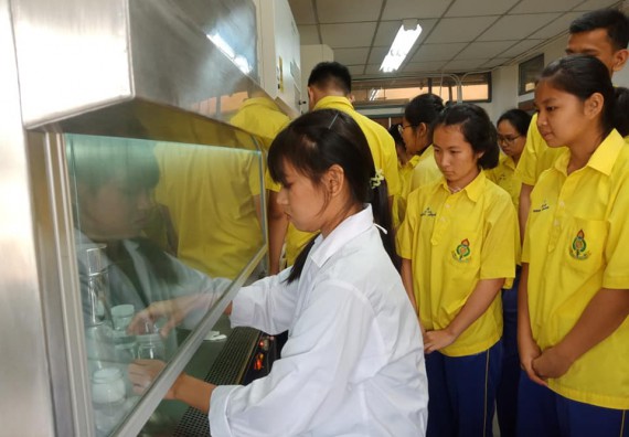 ภาพกิจกรรม โปรแกรมวิชาชีววิทยา	จัดการอบรมเชิงปฏิบัติการการเพาะเลี้ยงเนื้อเยื่อกล้วยไข่