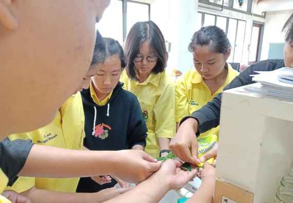 ภาพกิจกรรม โปรแกรมวิชาชีววิทยา	จัดการอบรมเชิงปฏิบัติการการเพาะเลี้ยงเนื้อเยื่อกล้วยไข่