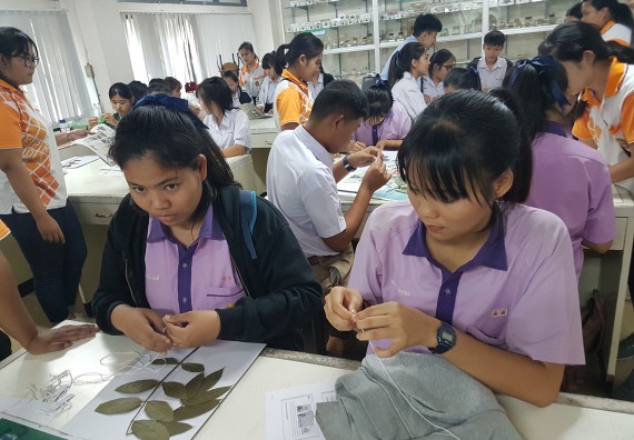 ภาพกิจกรรม ศูนย์วิทยาศาสตร์และวิทยาศาสตร์ประยุกต์ จัดบริการวิชาการวิทยาศาสตร์ทางชีวภาพ