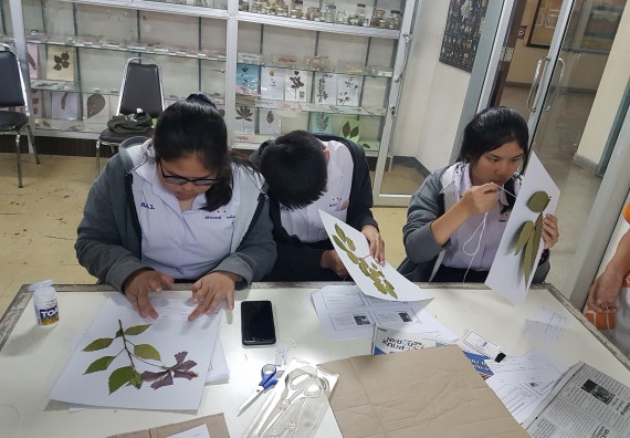 ภาพกิจกรรม ศูนย์วิทยาศาสตร์และวิทยาศาสตร์ประยุกต์ จัดบริการวิชาการวิทยาศาสตร์ทางชีวภาพ