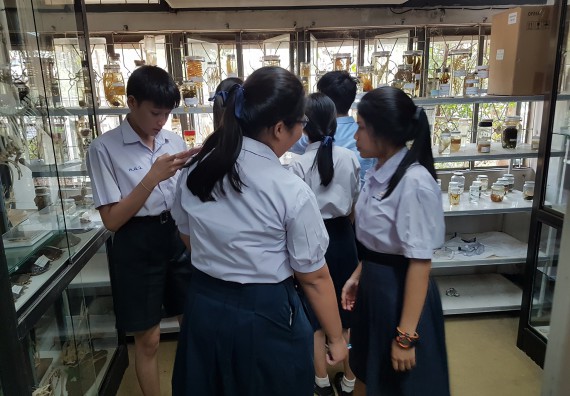 ภาพกิจกรรม ศูนย์วิทยาศาสตร์และวิทยาศาสตร์ประยุกต์ จัดบริการวิชาการวิทยาศาสตร์ทางชีวภาพ