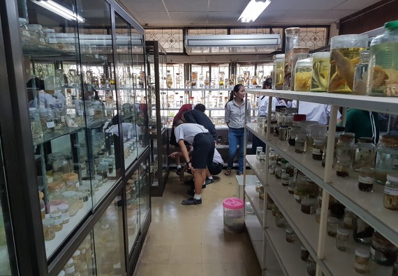 ภาพกิจกรรม ศูนย์วิทยาศาสตร์และวิทยาศาสตร์ประยุกต์ จัดบริการวิชาการวิทยาศาสตร์ทางชีวภาพ