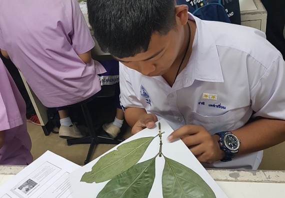 ภาพกิจกรรม ศูนย์วิทยาศาสตร์และวิทยาศาสตร์ประยุกต์ จัดบริการวิชาการวิทยาศาสตร์ทางชีวภาพ