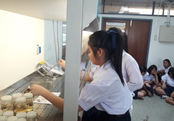 ภาพกิจกรรม โปรแกรมวิชาชีววิทยา	อบรมเชิงปฏิบัติการการเพาะเลี้ยงเนื้อเยื่อกล้วยไข่