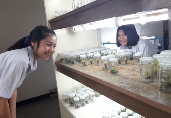 ภาพกิจกรรม โปรแกรมวิชาชีววิทยา	อบรมเชิงปฏิบัติการการเพาะเลี้ยงเนื้อเยื่อกล้วยไข่