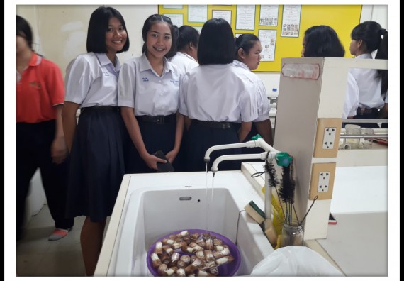 ภาพกิจกรรม โปรแกรมวิชาชีววิทยา	อบรมเชิงปฏิบัติการการเพาะเลี้ยงเนื้อเยื่อกล้วยไข่