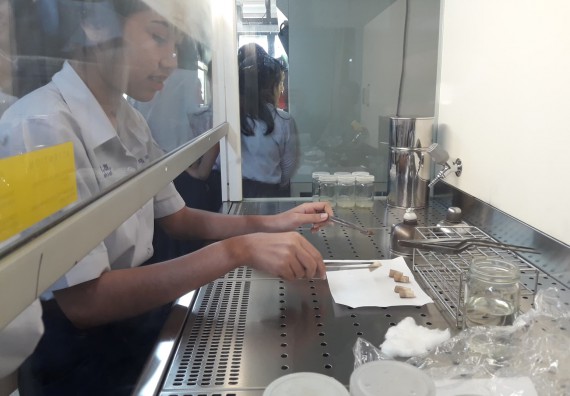 ภาพกิจกรรม โปรแกรมวิชาชีววิทยา	อบรมเชิงปฏิบัติการการเพาะเลี้ยงเนื้อเยื่อกล้วยไข่