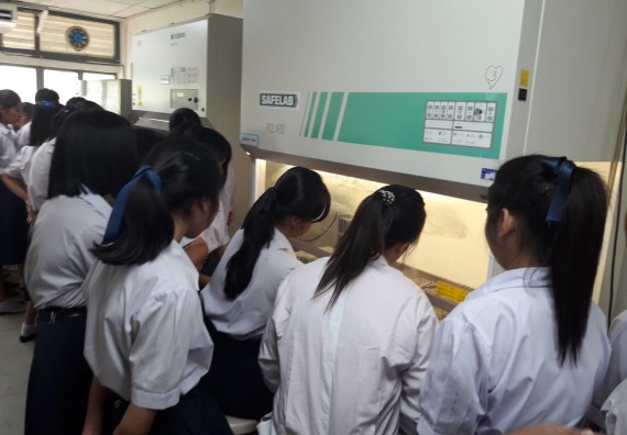 ภาพกิจกรรม โปรแกรมวิชาชีววิทยา	อบรมเชิงปฏิบัติการการเพาะเลี้ยงเนื้อเยื่อกล้วยไข่