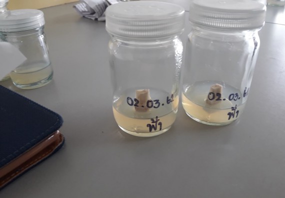 ภาพกิจกรรม โปรแกรมวิชาชีววิทยา	อบรมเชิงปฏิบัติการการเพาะเลี้ยงเนื้อเยื่อกล้วยไข่