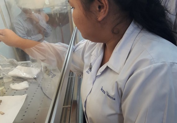 ภาพกิจกรรม โปรแกรมวิชาชีววิทยา	อบรมเชิงปฏิบัติการการเพาะเลี้ยงเนื้อเยื่อกล้วยไข่