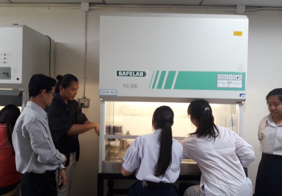 ภาพกิจกรรม โปรแกรมวิชาชีววิทยา	อบรมเชิงปฏิบัติการการเพาะเลี้ยงเนื้อเยื่อกล้วยไข่