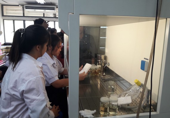 ภาพกิจกรรม โปรแกรมวิชาชีววิทยา	อบรมเชิงปฏิบัติการการเพาะเลี้ยงเนื้อเยื่อกล้วยไข่