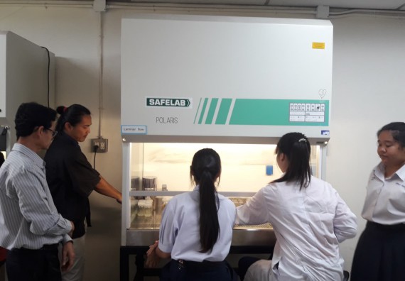 ภาพกิจกรรม โปรแกรมวิชาชีววิทยา	อบรมเชิงปฏิบัติการการเพาะเลี้ยงเนื้อเยื่อกล้วยไข่