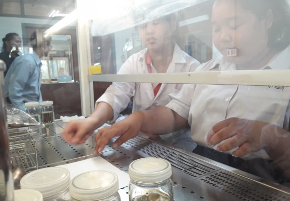 ภาพกิจกรรม โปรแกรมวิชาชีววิทยา	อบรมเชิงปฏิบัติการการเพาะเลี้ยงเนื้อเยื่อกล้วยไข่