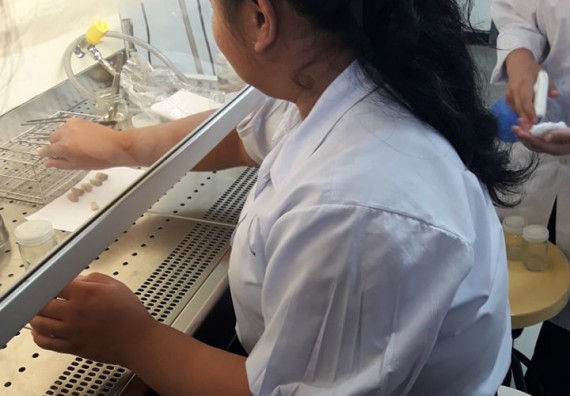 ภาพกิจกรรม โปรแกรมวิชาชีววิทยา	อบรมเชิงปฏิบัติการการเพาะเลี้ยงเนื้อเยื่อกล้วยไข่