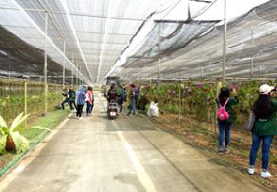 ภาพกิจกรรม โปรแกรมวิชาชีววิทยา จัดการศึกษาดูงานนอกสถานที่