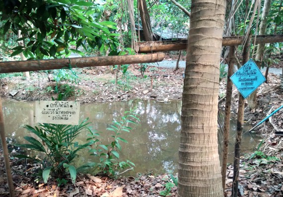 ภาพกิจกรรม โปรแกรมวิชาเกษตรศาสตร์ จัดศึกษาดูงานแหล่งเรียนรู้ด้านการเกษตร