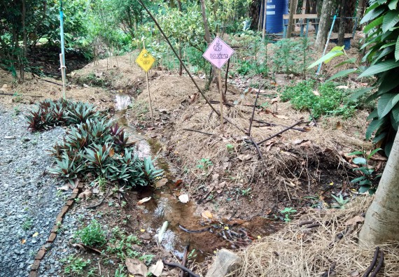 ภาพกิจกรรม โปรแกรมวิชาเกษตรศาสตร์ จัดศึกษาดูงานแหล่งเรียนรู้ด้านการเกษตร