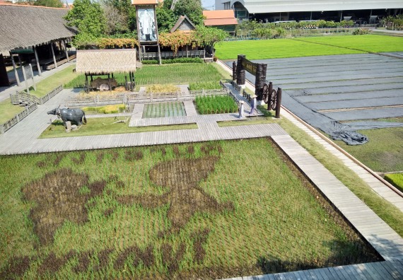 ภาพกิจกรรม โปรแกรมวิชาเกษตรศาสตร์ จัดศึกษาดูงานแหล่งเรียนรู้ด้านการเกษตร