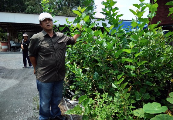 ภาพกิจกรรม โปรแกรมวิชาเกษตรศาสตร์ จัดศึกษาดูงานแหล่งเรียนรู้ด้านการเกษตร