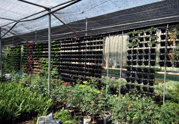 ภาพกิจกรรม โปรแกรมวิชาเกษตรศาสตร์ จัดศึกษาดูงานแหล่งเรียนรู้ด้านการเกษตร