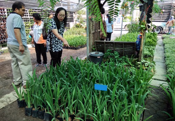 ภาพกิจกรรม โปรแกรมวิชาเกษตรศาสตร์ จัดศึกษาดูงานแหล่งเรียนรู้ด้านการเกษตร