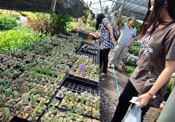 ภาพกิจกรรม โปรแกรมวิชาเกษตรศาสตร์ จัดศึกษาดูงานแหล่งเรียนรู้ด้านการเกษตร