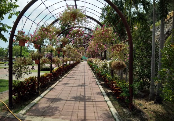 ภาพกิจกรรม โปรแกรมวิชาเกษตรศาสตร์ จัดศึกษาดูงานแหล่งเรียนรู้ด้านการเกษตร